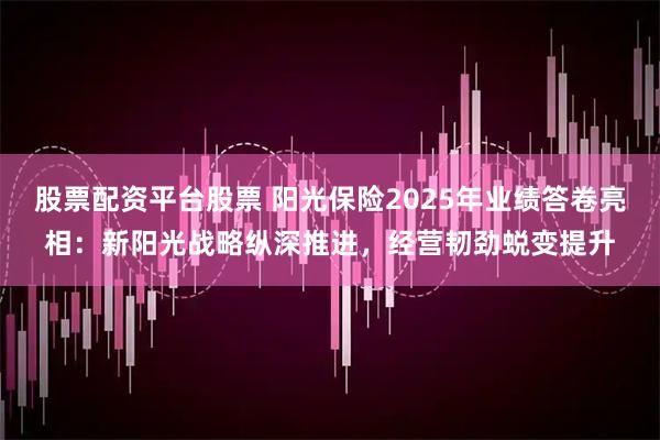 股票配资平台股票 阳光保险2025年业绩答卷亮相：新阳光战略纵深推进，经营韧劲蜕变提升